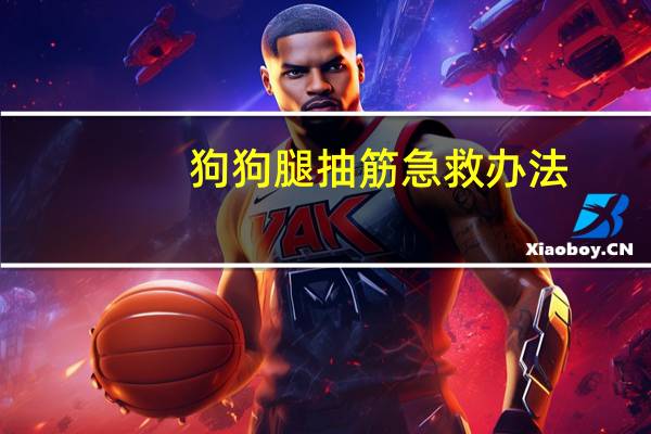 狗狗腿抽筋急救办法