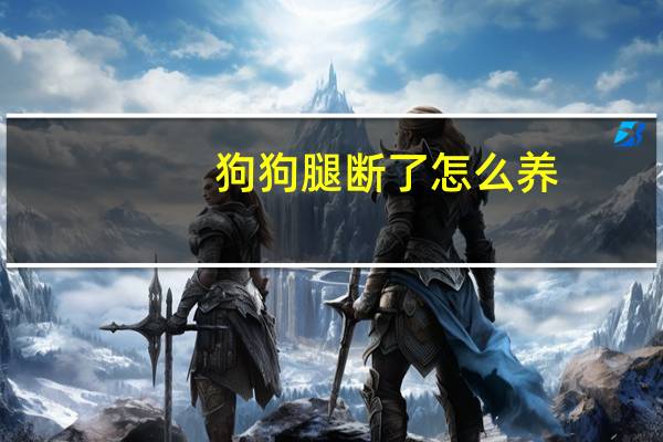 狗狗腿断了怎么养