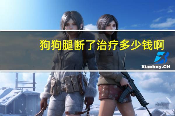 狗狗腿断了治疗多少钱啊