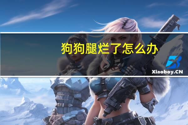 狗狗腿烂了怎么办