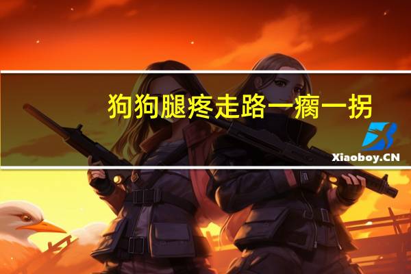 狗狗腿疼走路一瘸一拐