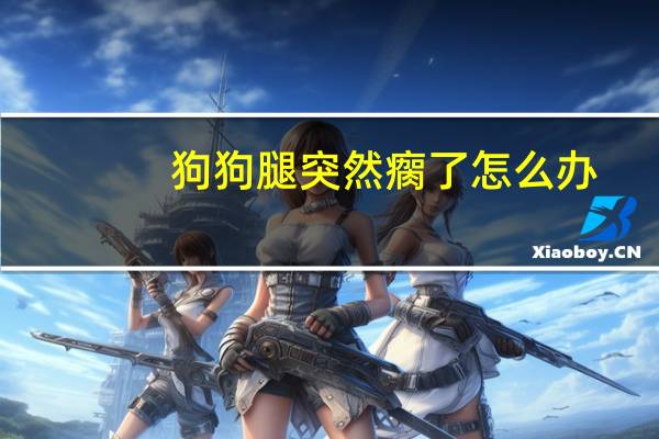 狗狗腿突然瘸了怎么办