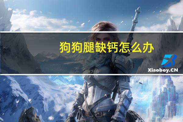 狗狗腿缺钙怎么办