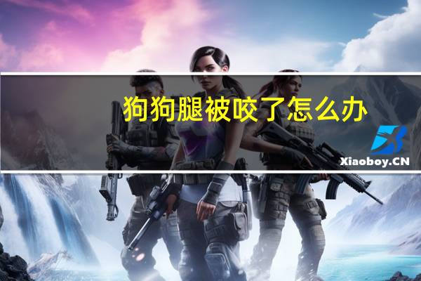 狗狗腿被咬了怎么办