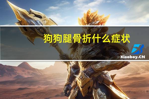 狗狗腿骨折什么症状