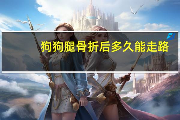 狗狗腿骨折后多久能走路