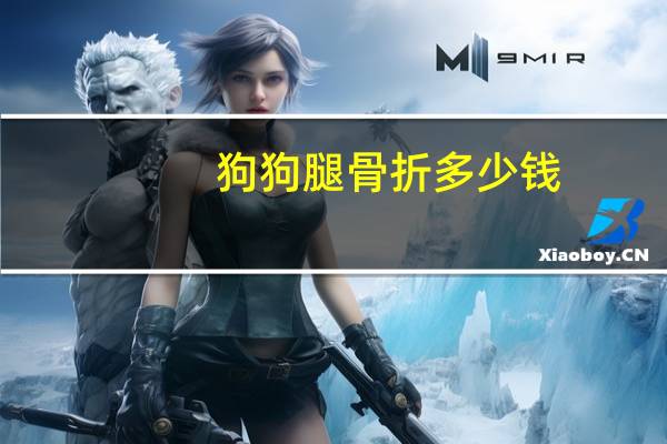 狗狗腿骨折多少钱