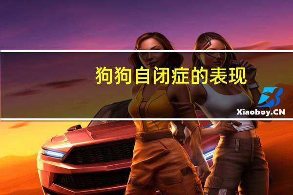 狗狗自闭症的表现