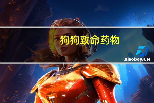 狗狗致命药物