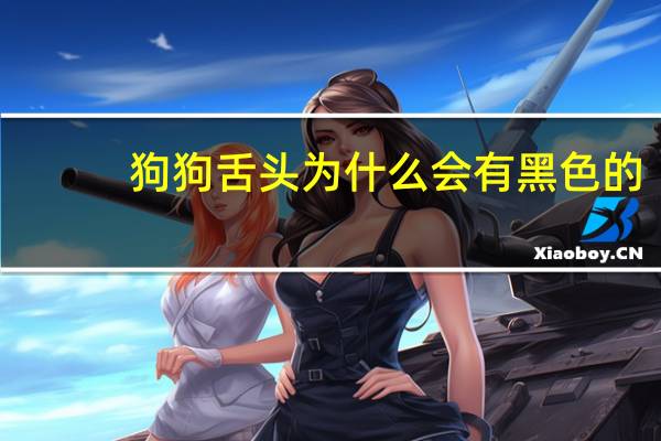 狗狗舌头为什么会有黑色的