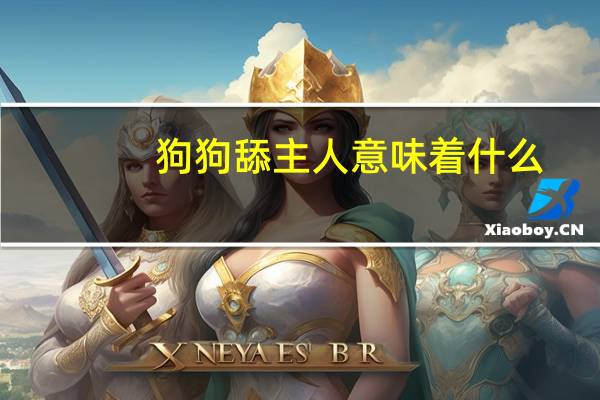狗狗舔主人意味着什么