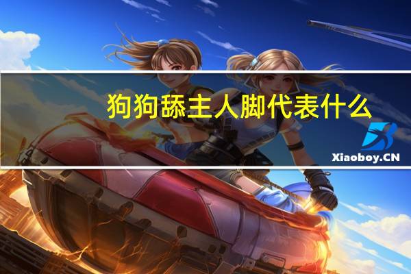 狗狗舔主人脚代表什么