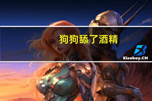 狗狗舔了酒精