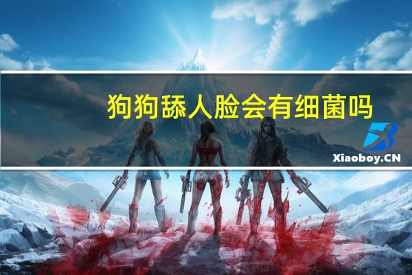 狗狗舔人脸会有细菌吗