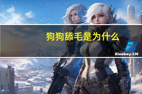 狗狗舔毛是为什么