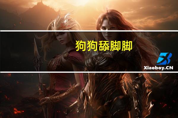 狗狗舔脚脚