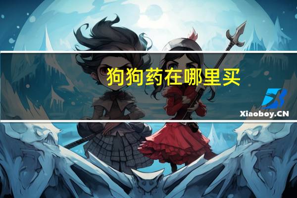 狗狗药在哪里买