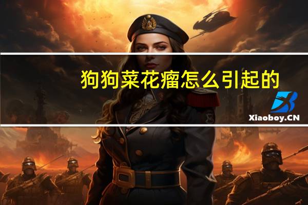 狗狗菜花瘤怎么引起的