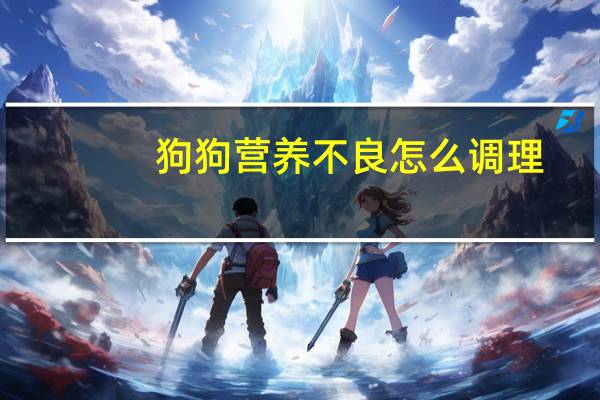 狗狗营养不良怎么调理