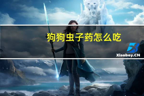 狗狗虫子药怎么吃
