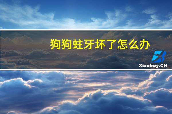 狗狗蛀牙坏了怎么办