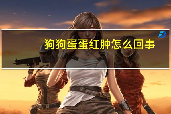 狗狗蛋蛋红肿怎么回事