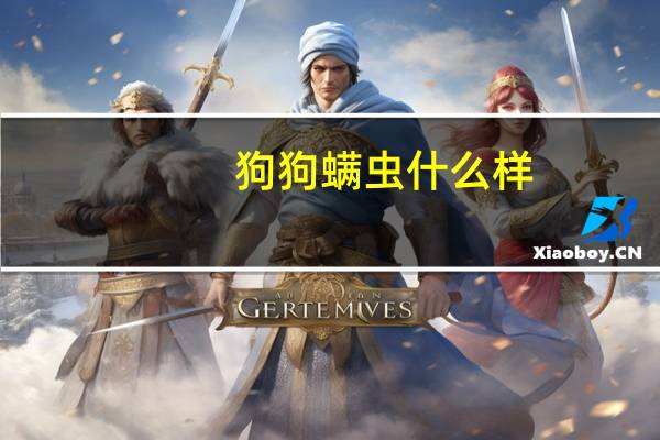狗狗螨虫什么样