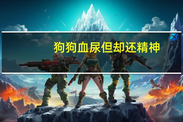 狗狗血尿但却还精神