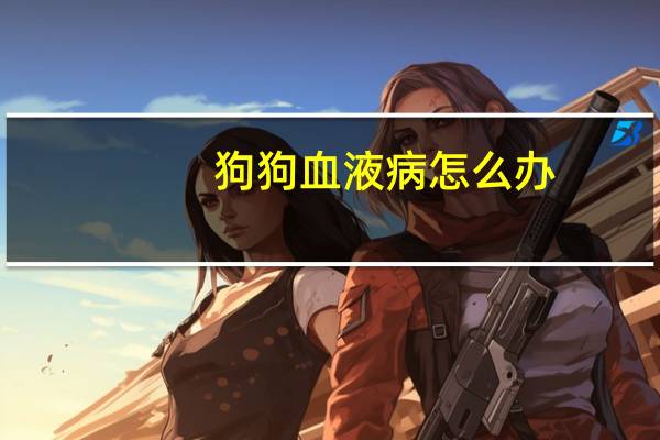 狗狗血液病怎么办