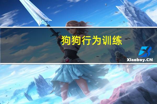狗狗行为训练