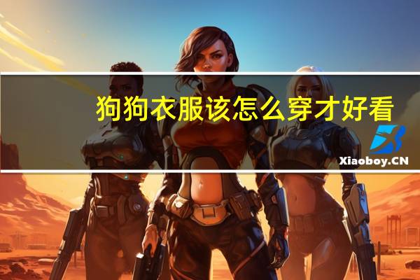 狗狗衣服该怎么穿才好看