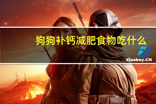 狗狗补钙减肥食物吃什么