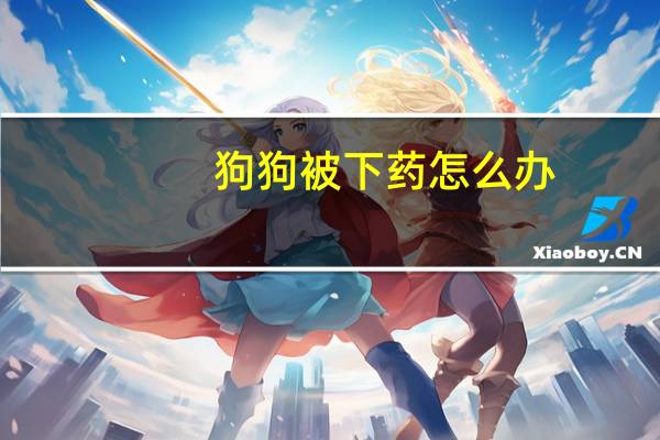 狗狗被下药怎么办