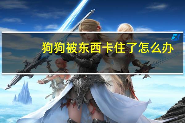 狗狗被东西卡住了怎么办