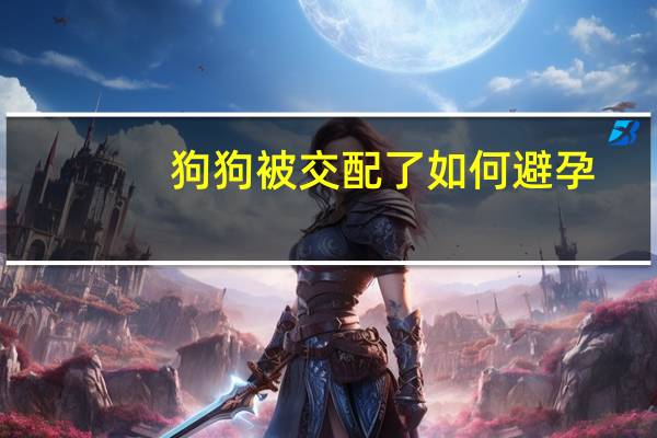 狗狗被交配了如何避孕