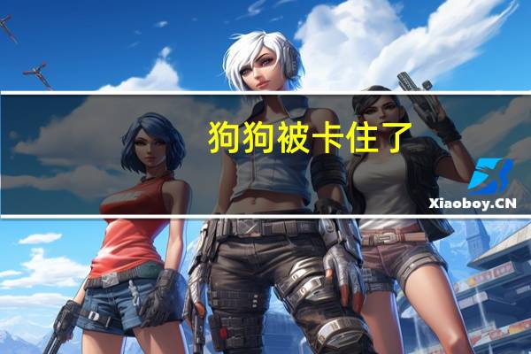 狗狗被卡住了