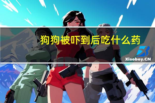 狗狗被吓到后吃什么药