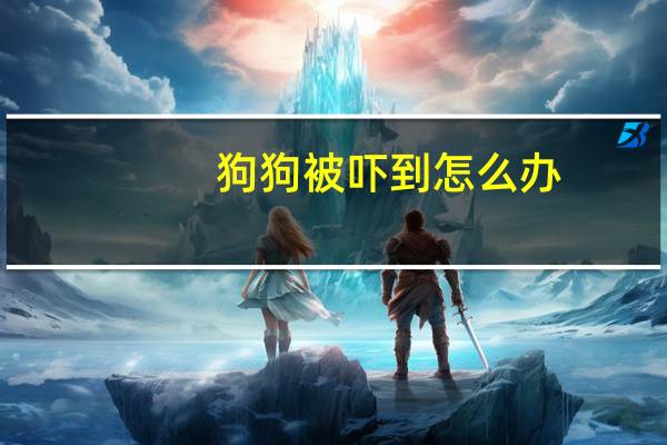 狗狗被吓到怎么办