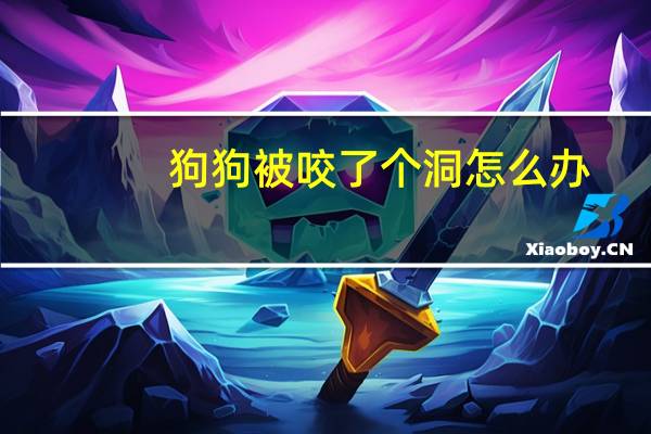狗狗被咬了个洞怎么办
