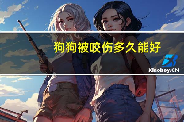 狗狗被咬伤多久能好