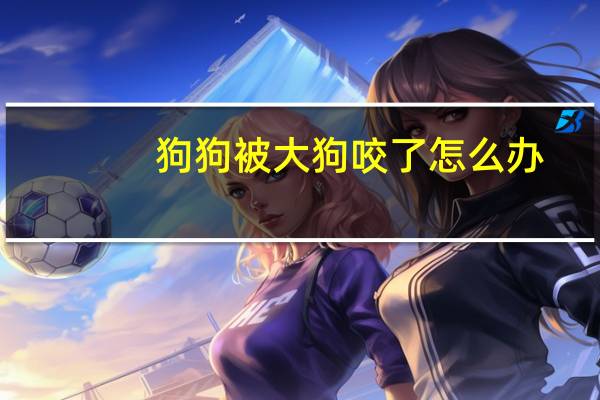 狗狗被大狗咬了怎么办