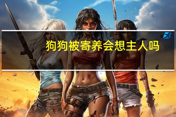 狗狗被寄养会想主人吗
