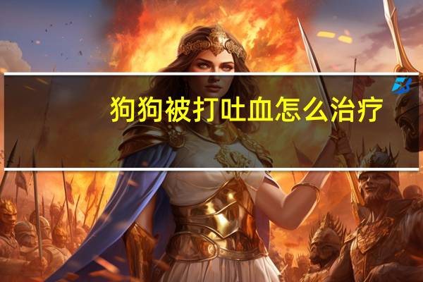 狗狗被打吐血怎么治疗