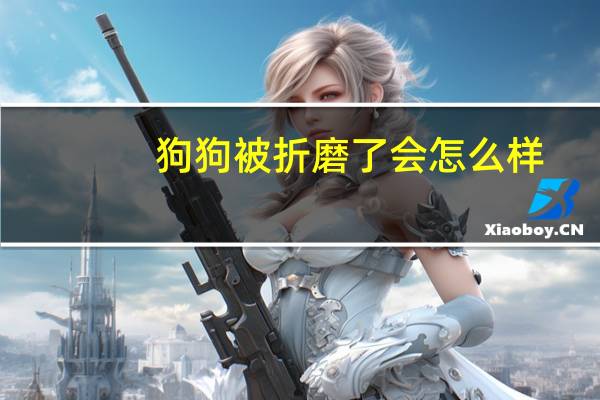 狗狗被折磨了会怎么样