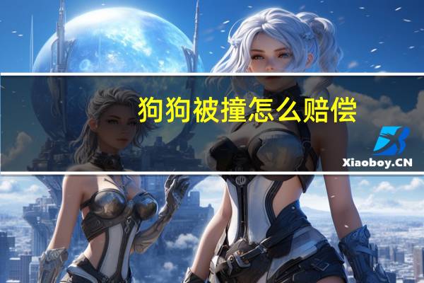 狗狗被撞怎么赔偿