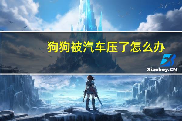 狗狗被汽车压了怎么办