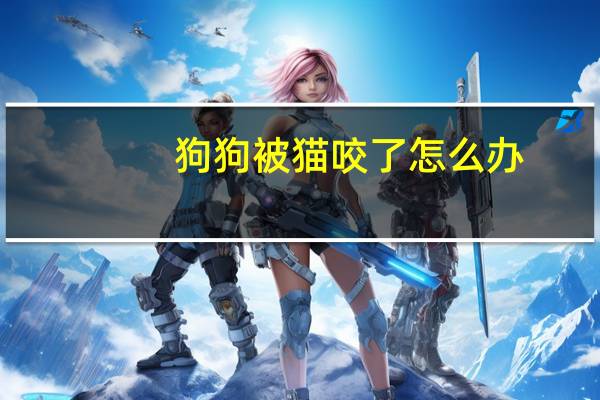 狗狗被猫咬了怎么办