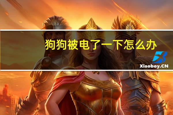 狗狗被电了一下怎么办