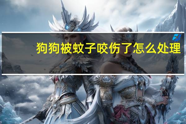 狗狗被蚊子咬伤了怎么处理