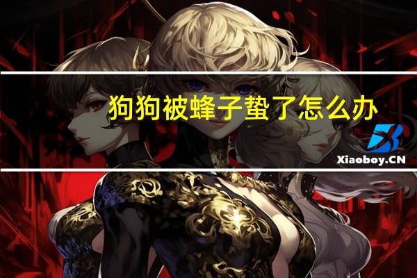 狗狗被蜂子蛰了怎么办